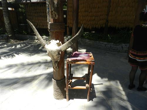 20椰田古寨感受下風(fēng)土人情--玩得也很嗨啊 (4)