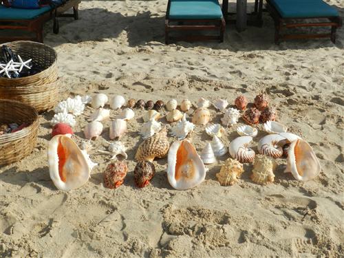 23誰的？大豐收