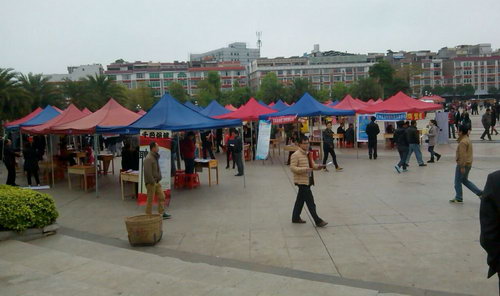 參加玉林市2015年“春風(fēng)行動”企業(yè)用工大型招聘會