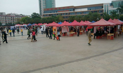 參加玉林市2015年“春風(fēng)行動”企業(yè)用工大型招聘會