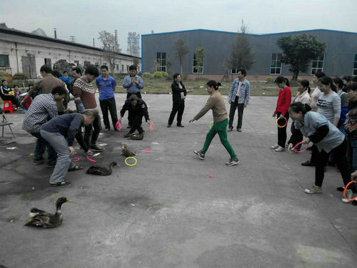 公司于2016年3月8日下午15：00至17點(diǎn)，舉辦了以“快樂工作、幸福生活”為主題的三八節(jié)活動。