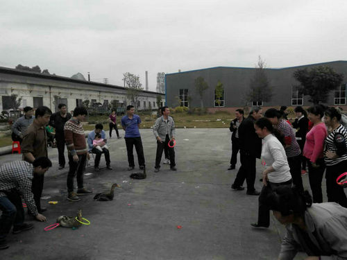 公司于2016年3月8日下午15：00至17點(diǎn)，舉辦了以“快樂工作、幸福生活”為主題的三八節(jié)活動。