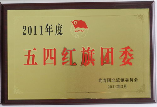 2011年度五四紅旗團(tuán)委