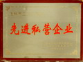 2003先進(jìn)私營(yíng)企業(yè)