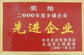 2000年度鄉(xiāng)鎮(zhèn)企業(yè)先進(jìn)企業(yè)