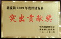 北流鎮(zhèn)2009年度經(jīng)濟(jì)發(fā)展突出貢獻(xiàn)獎(jiǎng)