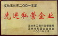 玉林市2001年度先進(jìn)私營(yíng)企業(yè)
