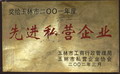 玉林市2001年度先進(jìn)私營(yíng)企業(yè)