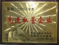 玉林市2005年度先進(jìn)私營(yíng)企業(yè)