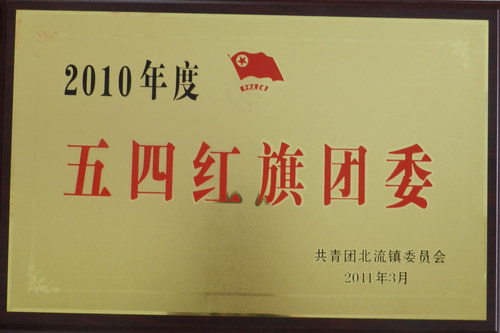 2010年度“五四紅旗團(tuán)委”
