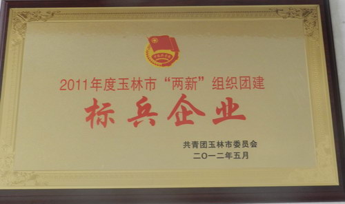 2011年度玉林市“兩新”組織團(tuán)建“標(biāo)兵企業(yè)”