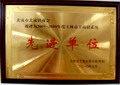 北流市北流鎮(zhèn)商會(huì)被評(píng)為2005-2009年度玉林市工商聯(lián)系統(tǒng)先進(jìn)單位