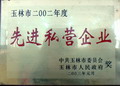 玉林市2002年度先進(jìn)私營(yíng)企業(yè)